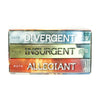 The Divergent Series